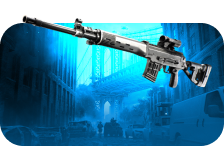 DMRs Leveling
