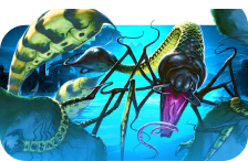 Incarnation of Dread Kill