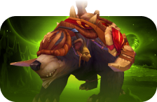 Amani War Bear