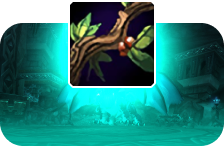 Herbalism Midnight