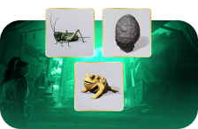 Oddities Farming