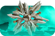 The Desert Perpetual Epic Raid