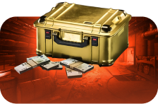 Cases