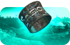 Armband Evasion Found In Raid