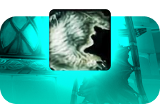 Classic Era Skinning Skill Season of Discovery