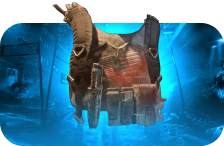 Ridgeway's Pride Chest