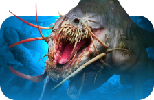 Rabizex Kill