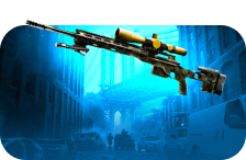 Sniper Rifles Leveling