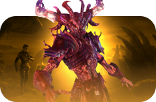 Seasonal Campaign