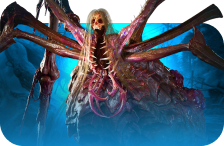 Arachsiam Kill