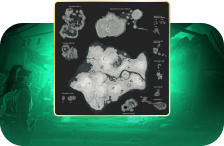 Map Completion