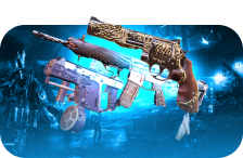 Raid Exotics Bundle
